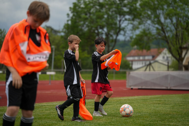 FC Wehr 1912 e.V. – Frankenmatt – Unser Zuhause